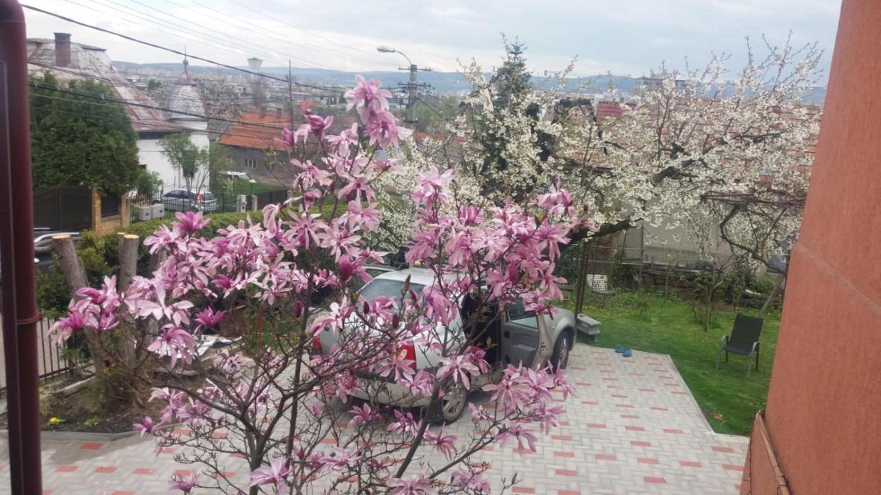 Mri Residence Cluj-Napoca Exterior foto